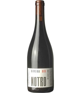 Roberto Henriquez Rivera del Notro Tinto, Bio Bio