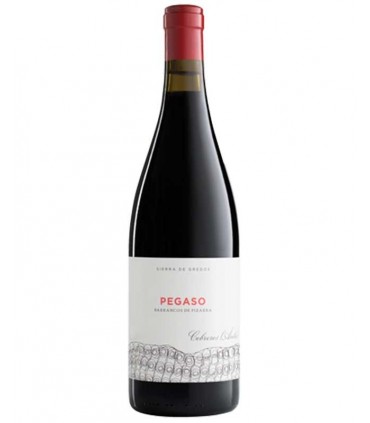 Pegaso Pizarra