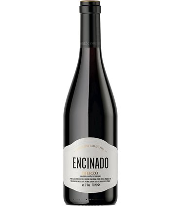 Encinado