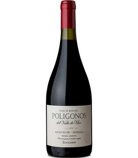 Zuccardi Polígonos Gualtallary Malbec