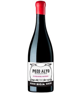 Pozo Alto