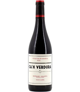 Producto ID1882