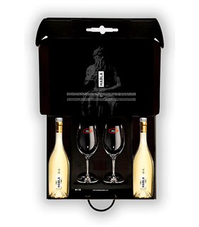 Estuche Habla de Ti + 2 Copas Riedel