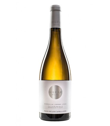 O Luar Do Sil Godello sobre lías - Pago de los Capellanes