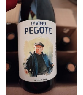 Divino Pegote