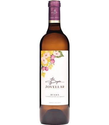 Begoña Jovellar Verdejo