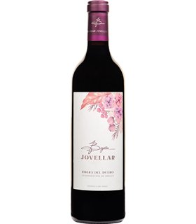 Begoña Jovellar