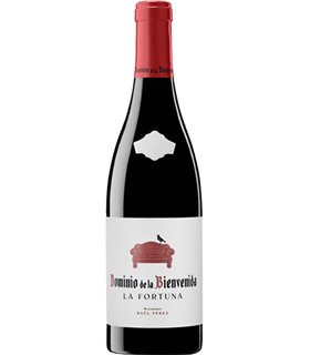 Dominio de la Bienvenida La Fortuna