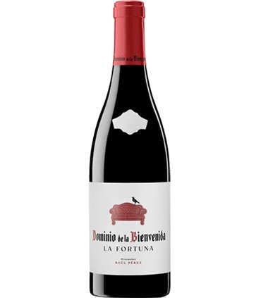Dominio de la Bienvenida La Fortuna