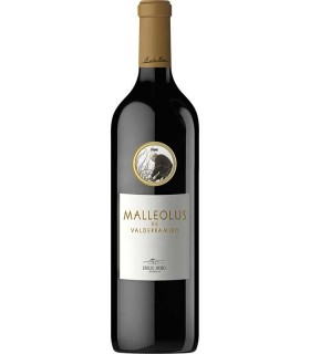 Malleolus de Valderramiro