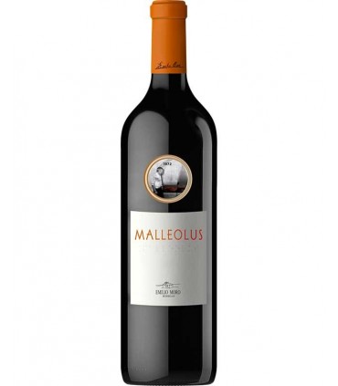 Malleolus