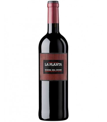 La Planta