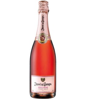 Juvé & Camps Brut Rosé Pinot Noir