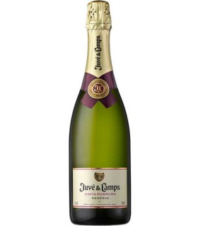 Juvé & Camps Cinta Púrpura Reserva
