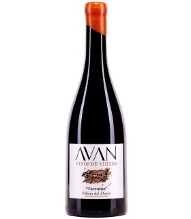 Avan Torrubio