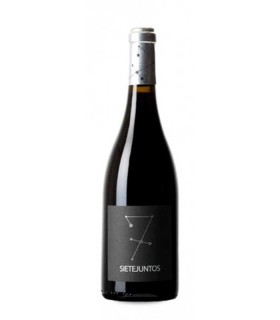 Sietejuntos Tempranillo Arroyuelos