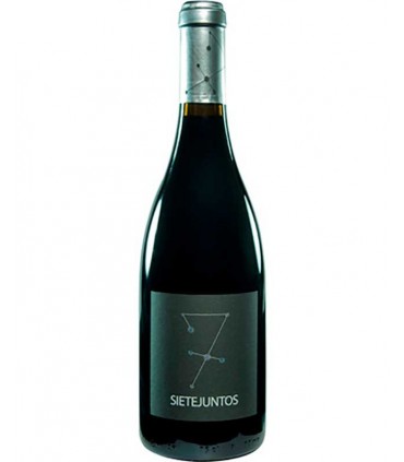 Sietejuntos Merlot