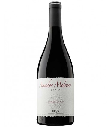 Amador Medrano Terra